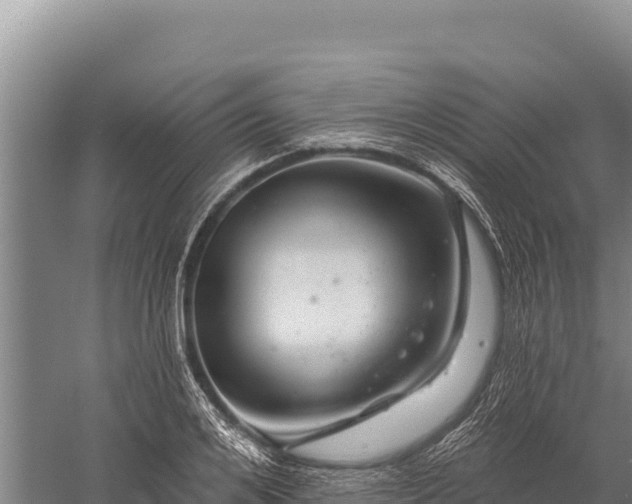 X0000059240984200510211558