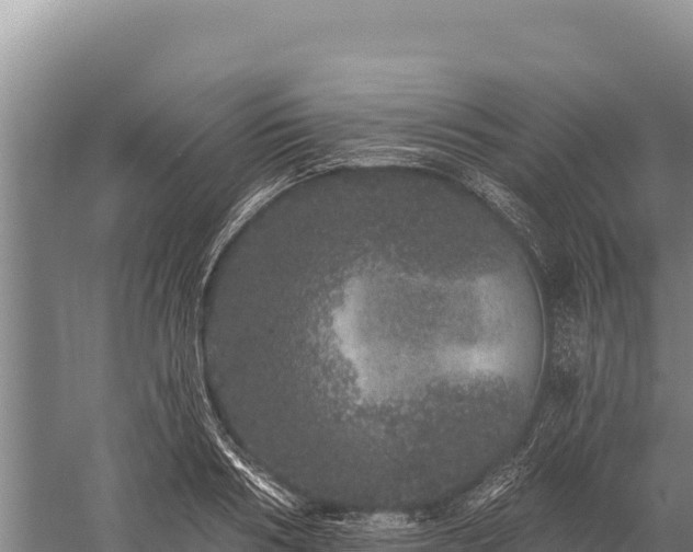 X0000059240986200510211557