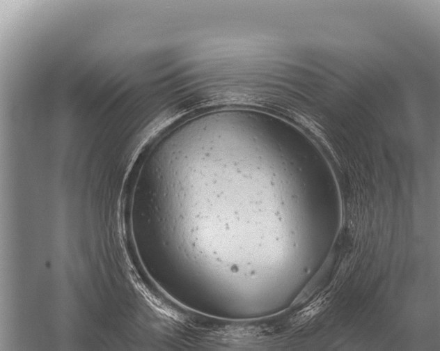 X0000059240987200510211557