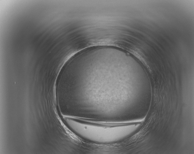 X0000059240988200510211557