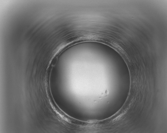 X0000059240989200510211557