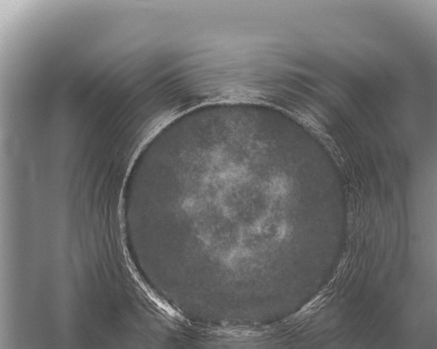 X0000059240990200510211557