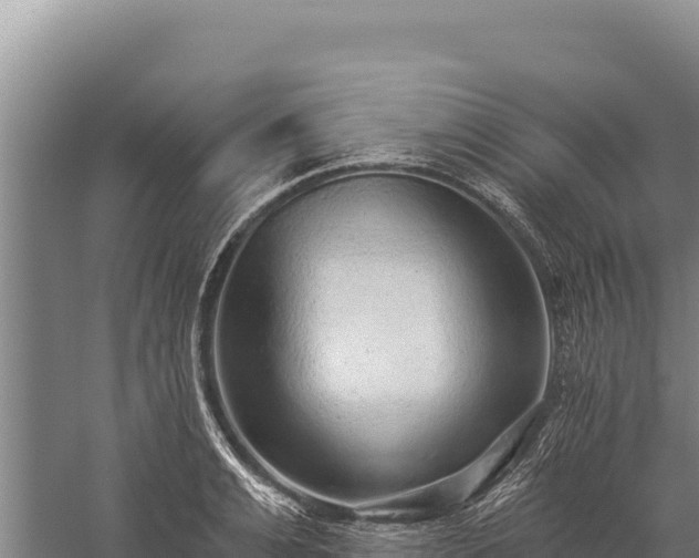 X0000059240991200510211557