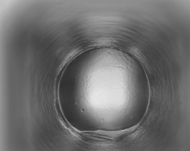 X0000059240994200510211557