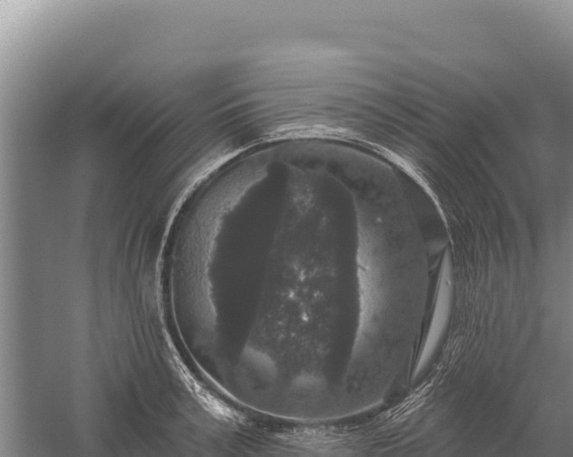 X0000059240995200510211557