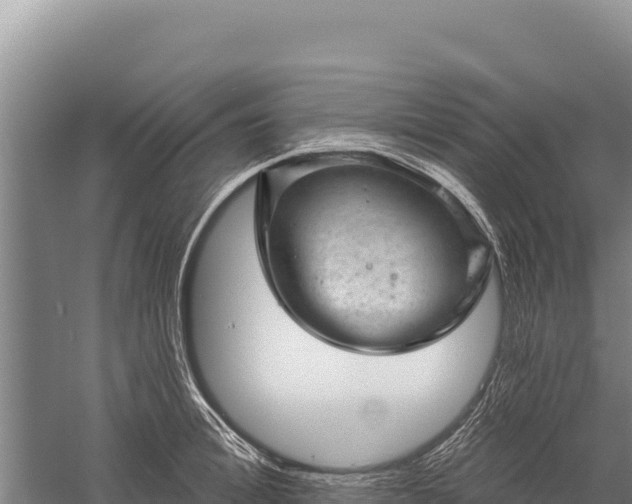 X0000059240996200510211557