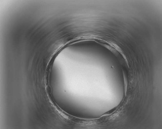 X0000059240997200510211557