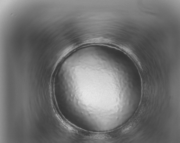 X0000059240998200510211557