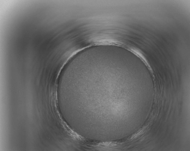 X0000059241000200510211557