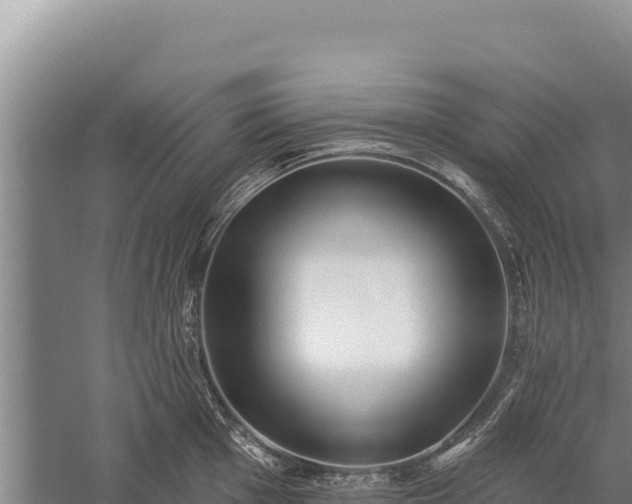 X0000059241001200510211557