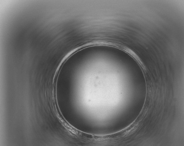 X0000059241004200510211557