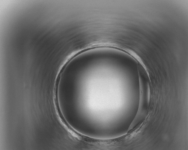 X0000059241005200510211557