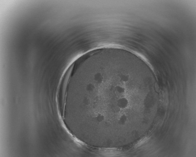 X0000059241007200510211557