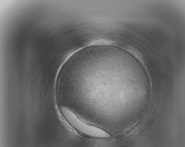 X0000059241008200510211557