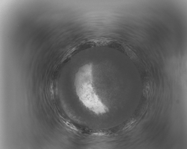 X0000059241010200510211556