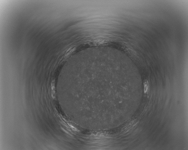 X0000059241011200510211556