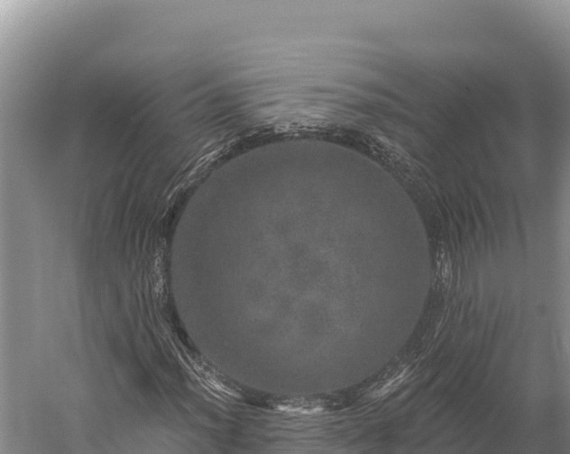 X0000059241012200510211556