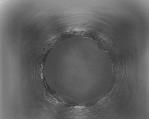 X0000059241013200510211556