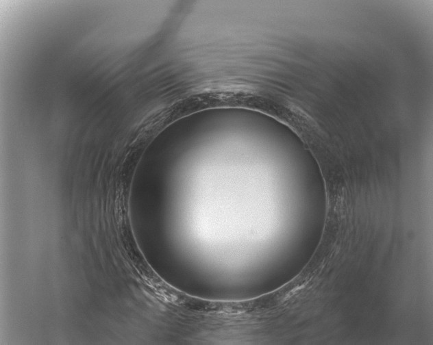 X0000059241014200510211556