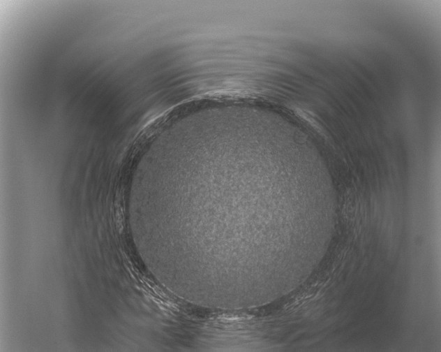 X0000059241015200510211556