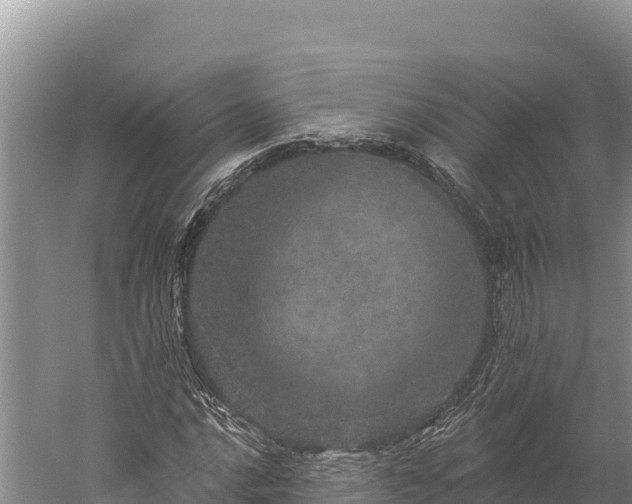 X0000059241016200510211556