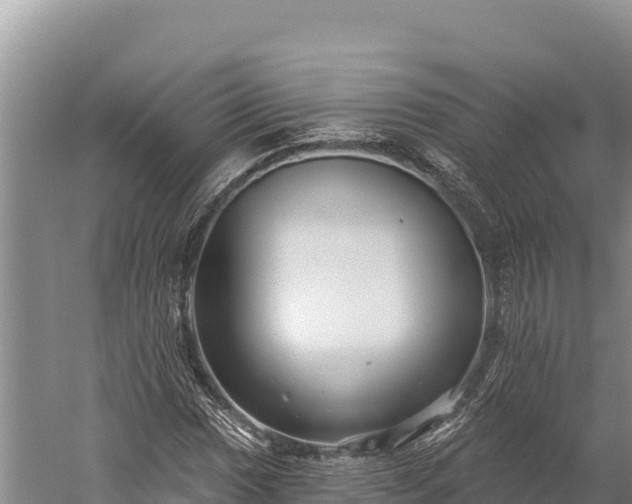 X0000059241017200510211556