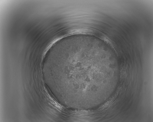 X0000059241019200510211556