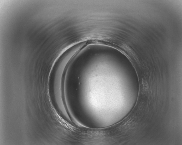 X0000059241020200510211556