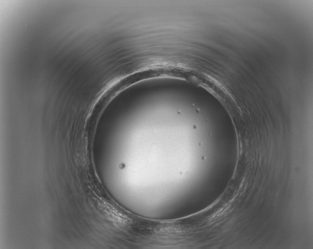 X0000059241021200510211556