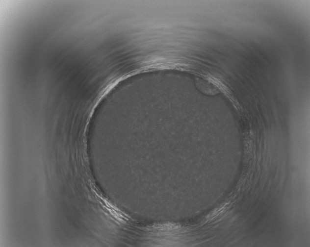 X0000059241023200510211557