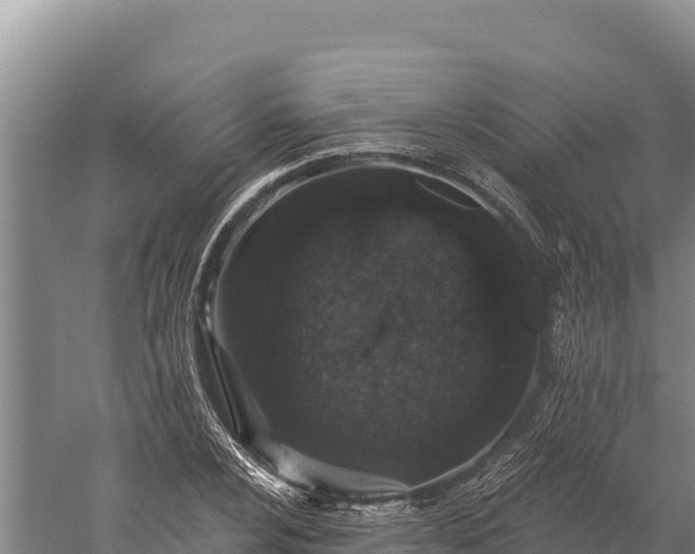 X0000059241024200510211557