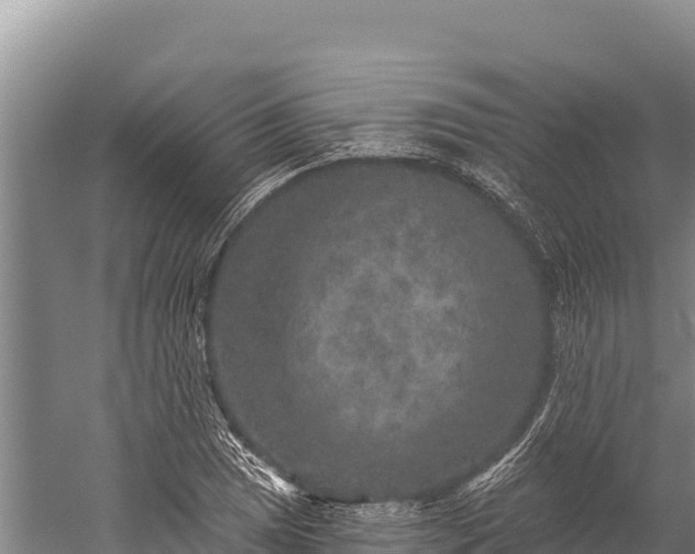 X0000059241025200510211557