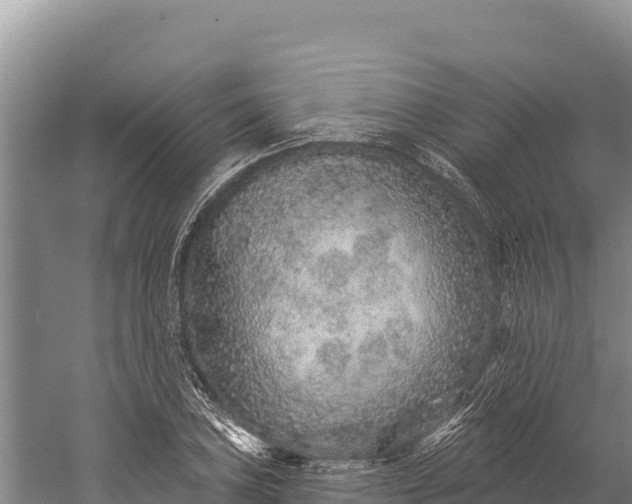 X0000059241027200510211557