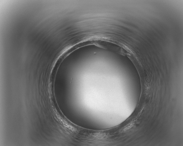 X0000059241029200510211557