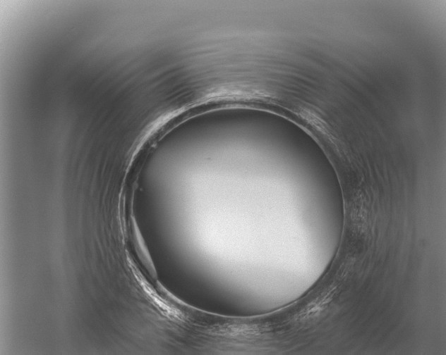 X0000059241030200510211557