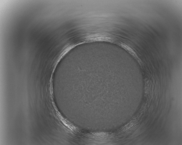 X0000059241031200510211557