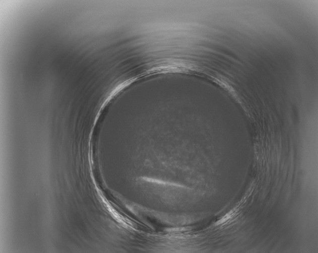 X0000059241034200510211557