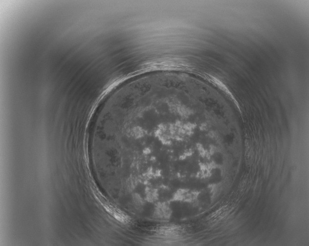 X0000059241035200510211557