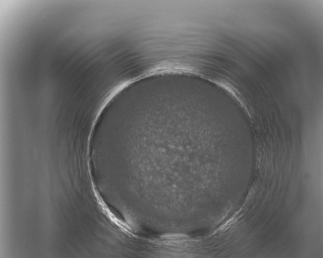 X0000059241038200510211557