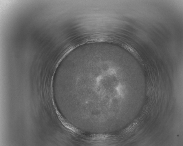 X0000059241039200510211557