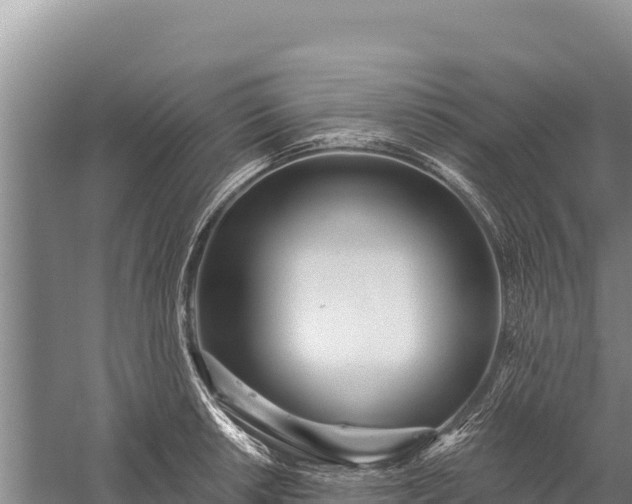 X0000059241042200510211557