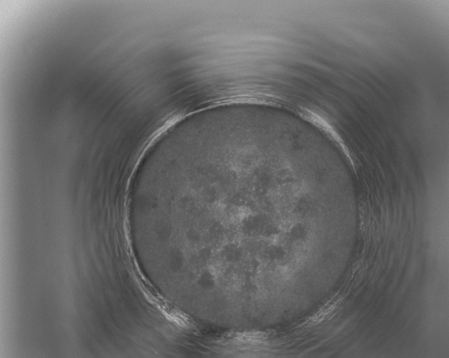 X0000059241043200510211557