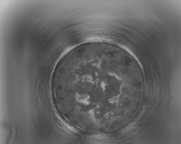 X0000059241045200510211557