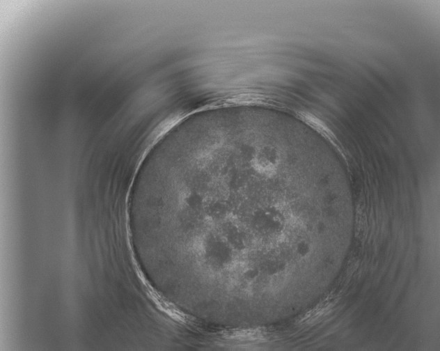 X0000059241047200510211557