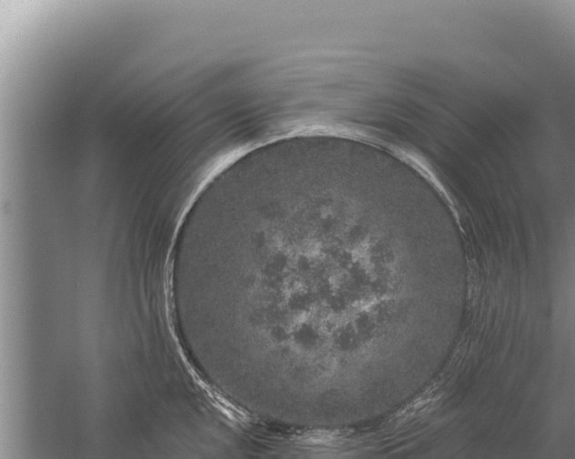 X0000059241048200510211557