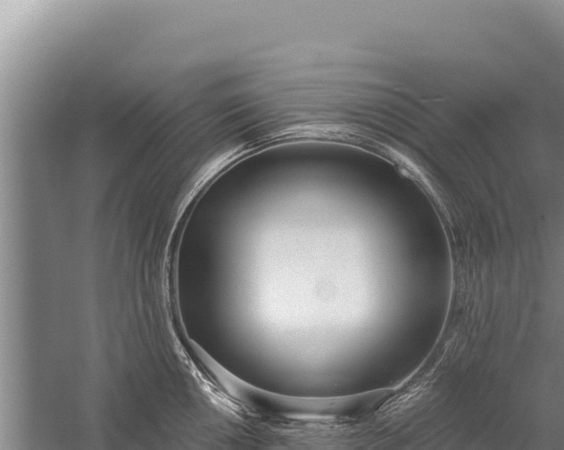 X0000059241050200510211557