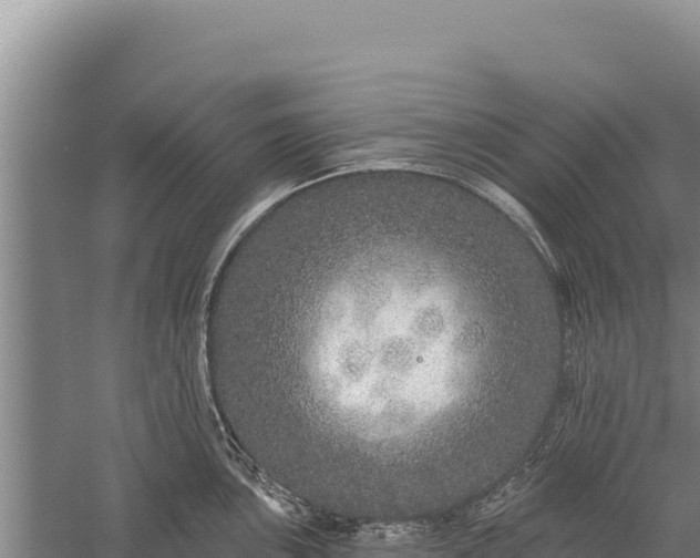 X0000059241051200510211557