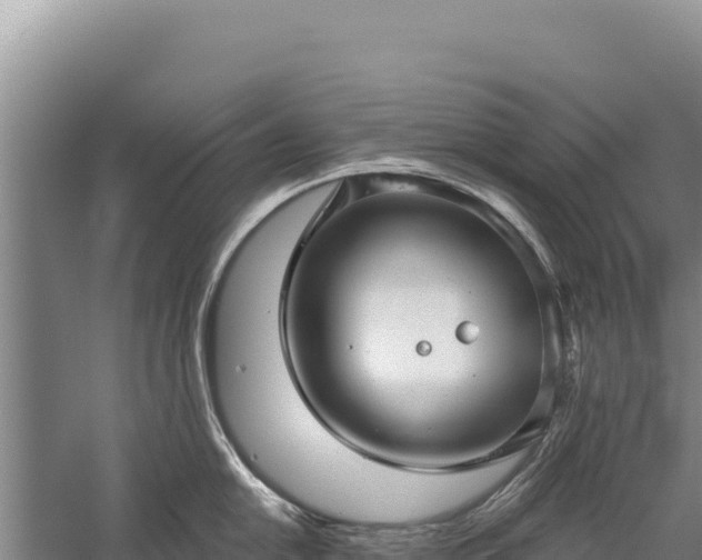 X0000059241054200510211557