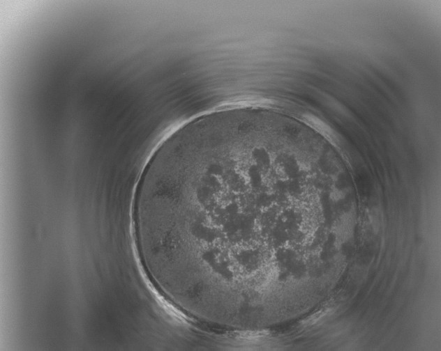 X0000059241055200510211557