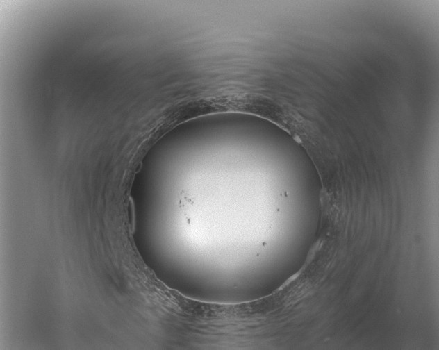 X0000059241057200510211556